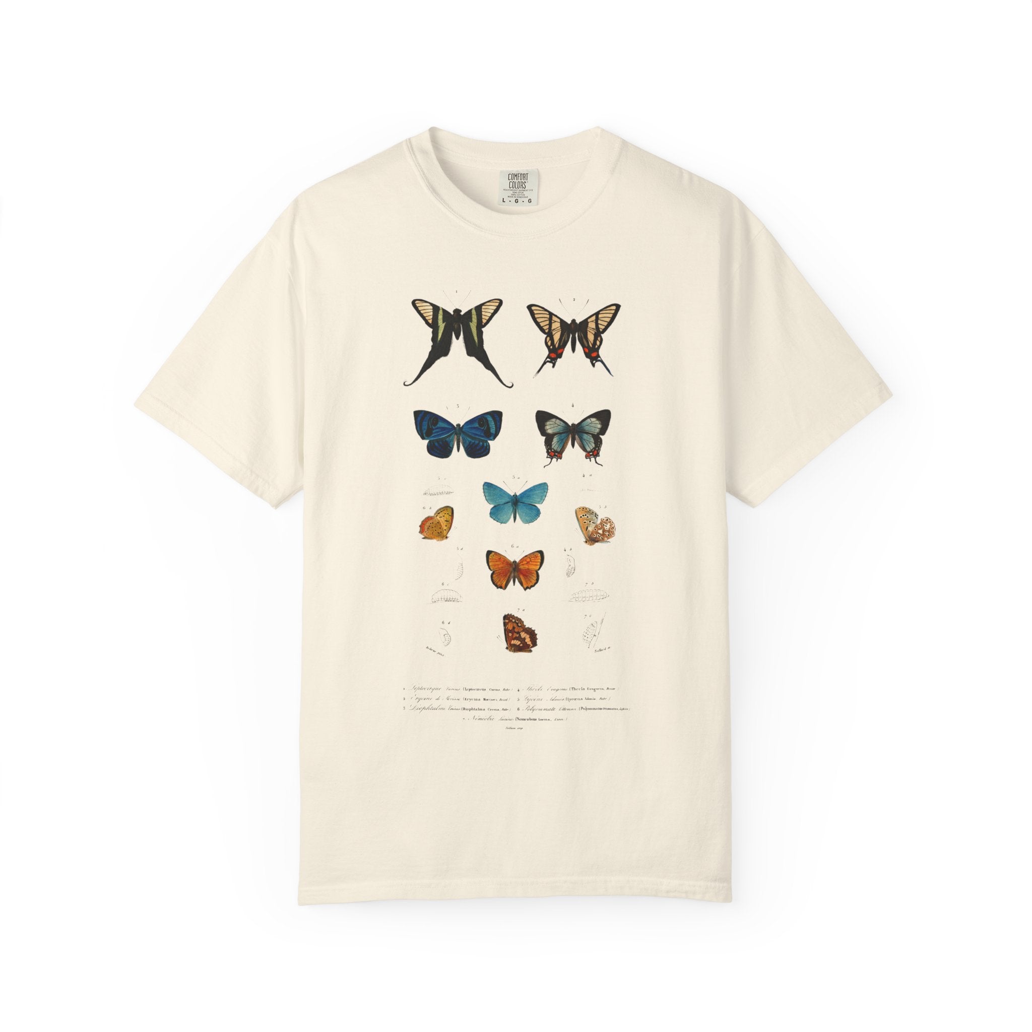 Butterfly & Floral Bird Tee — Vintage Nature Graphic T-Shirt