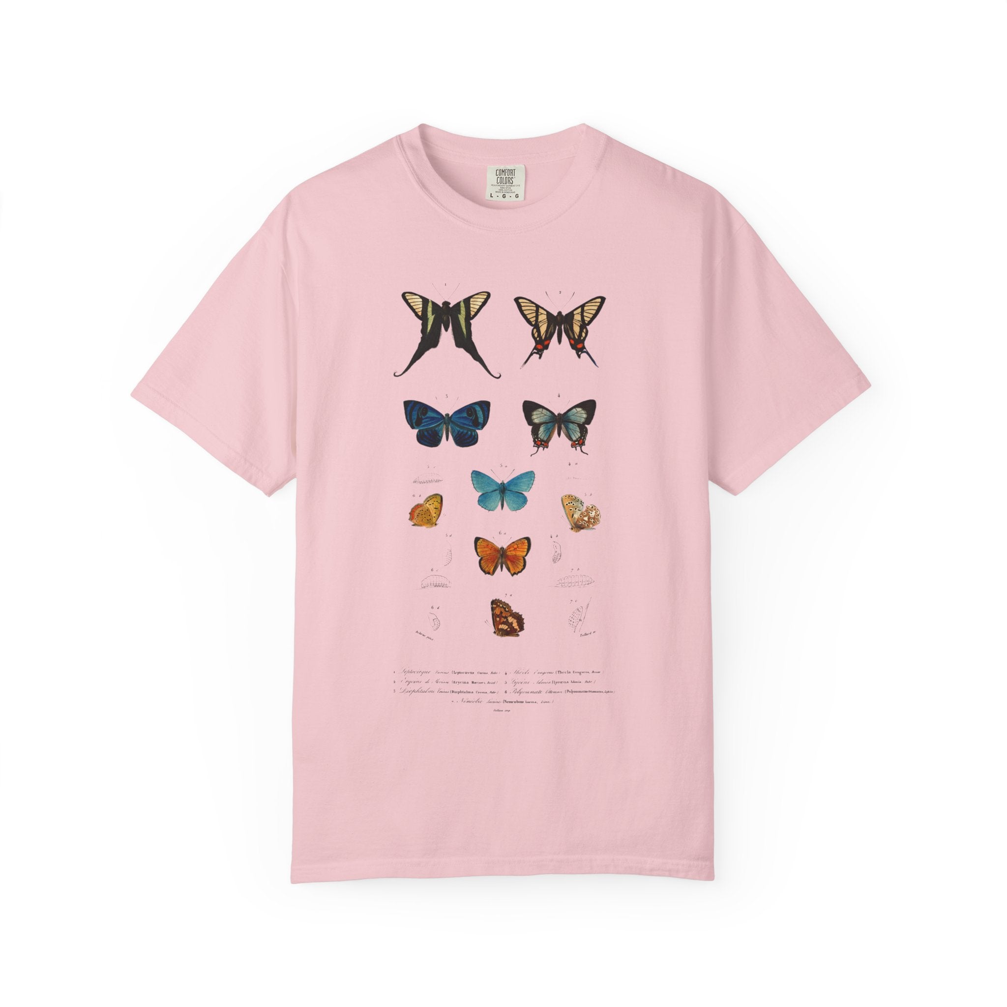Butterfly & Floral Bird Tee — Vintage Nature Graphic T-Shirt